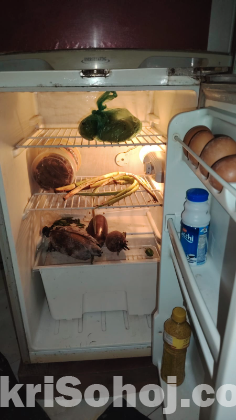 ফ্রিজ ( Refrigerator freeze)